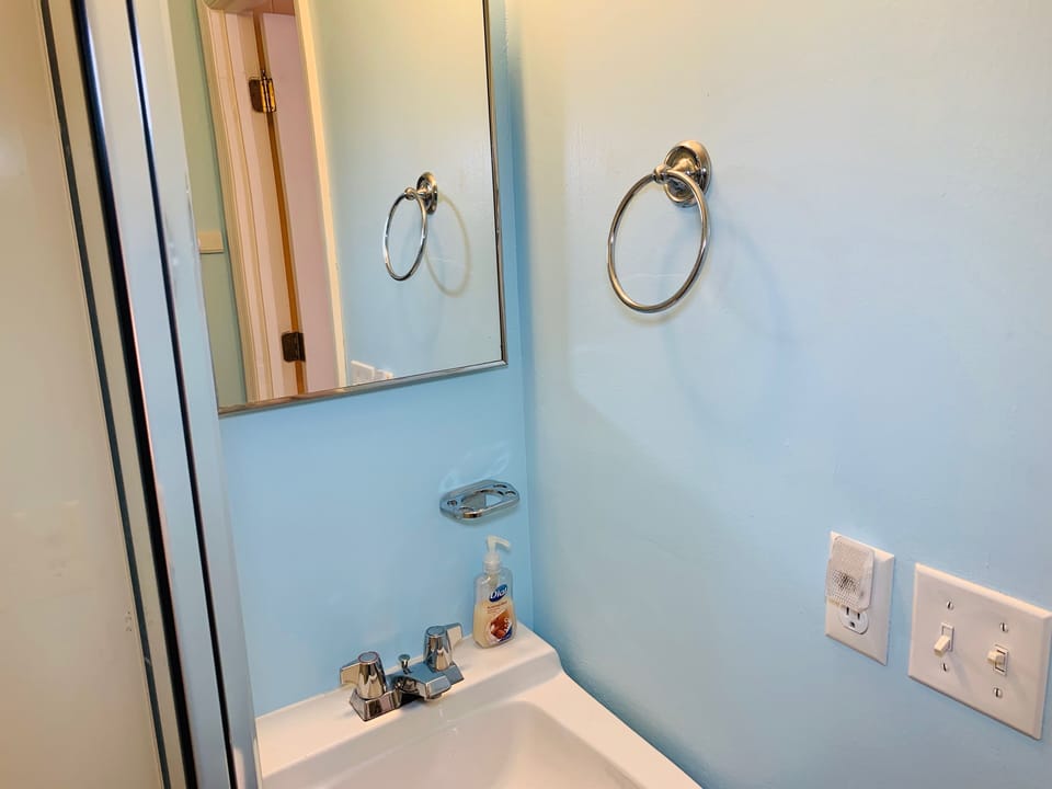 Master Bath in relaxing Mist Blue