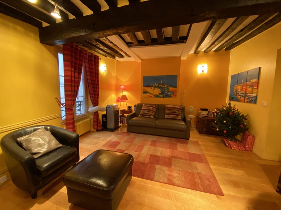 Wide angle view of living room with pull out queen size sofa bed