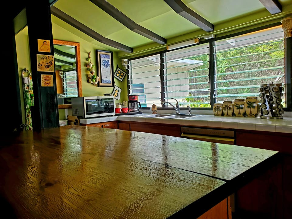 ENTERTAINING KITCHEN, BACK YARD OF OPEN AIR, OPEN SPACE. SNACKS ALL DAY, FUN!!