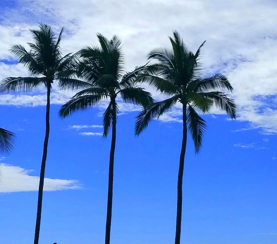 PLENTY OF PALM TREES, TROPICAL GALORE, FEELING OF " HOME". NOT HOTEL NOT CONDO..