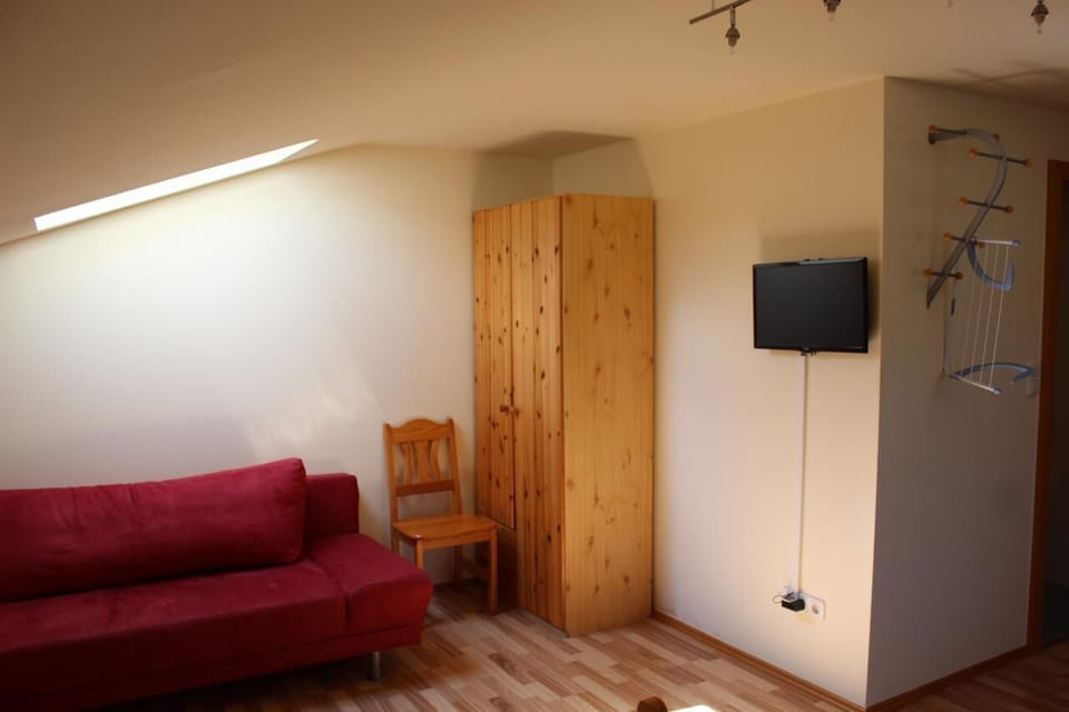 Flat-screen TV