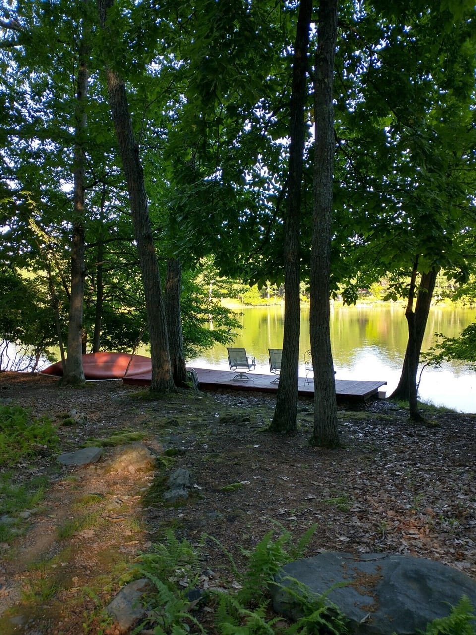 Lake View in Summer