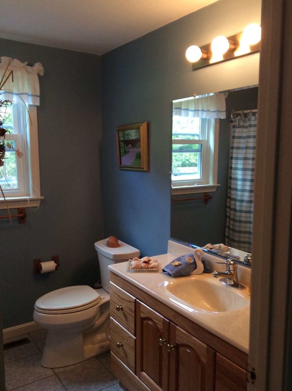 First floor bathroom. Tub with shower and shower curtain.