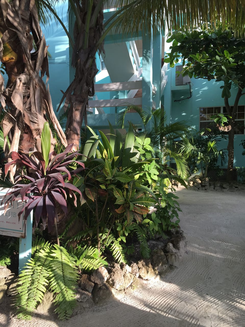 Tropical landscaping in the front of our building. 