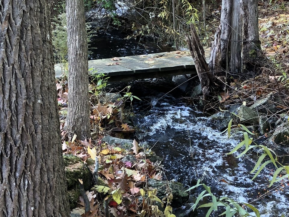 Seasonal Stream in Backyard, sounds incredible from deck or master bedroom.