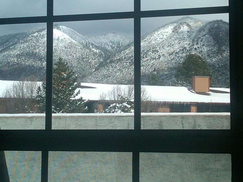 View from the dining room table during the winter months
