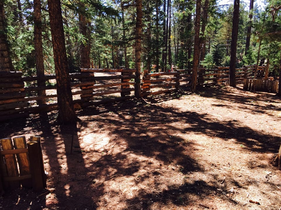 Horse shoes