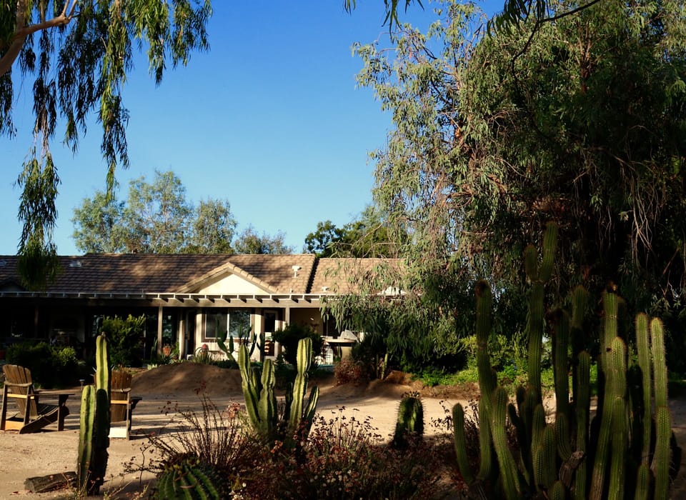 Backyard of Rancho Del Vinedos