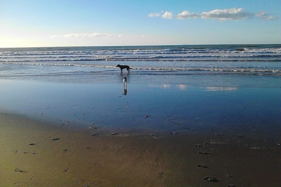 Safe beach.