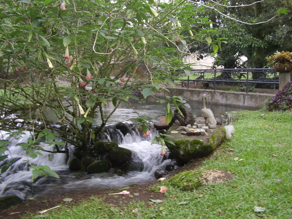 Seasonal river
