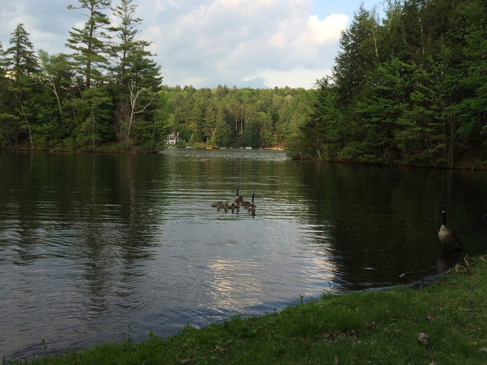 Lake