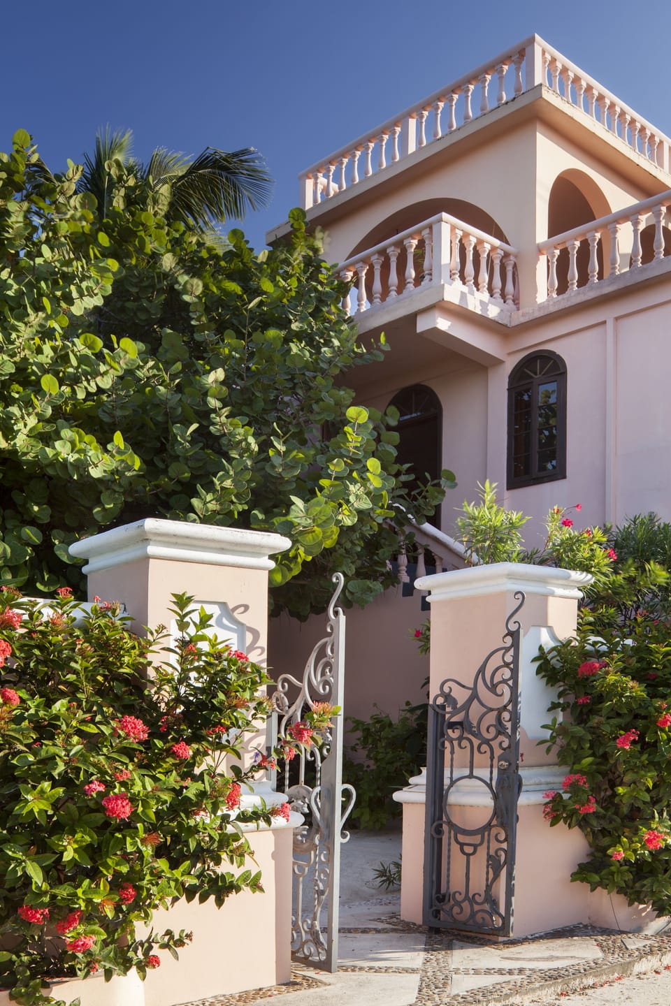 The Pelican's Nest Guest House has a roof garden.