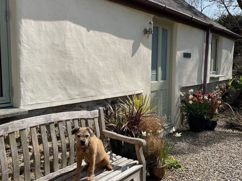 Dogs are very welcome at The Little Barn!