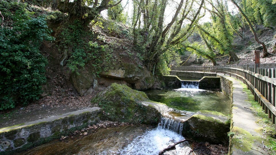 Zacholi village