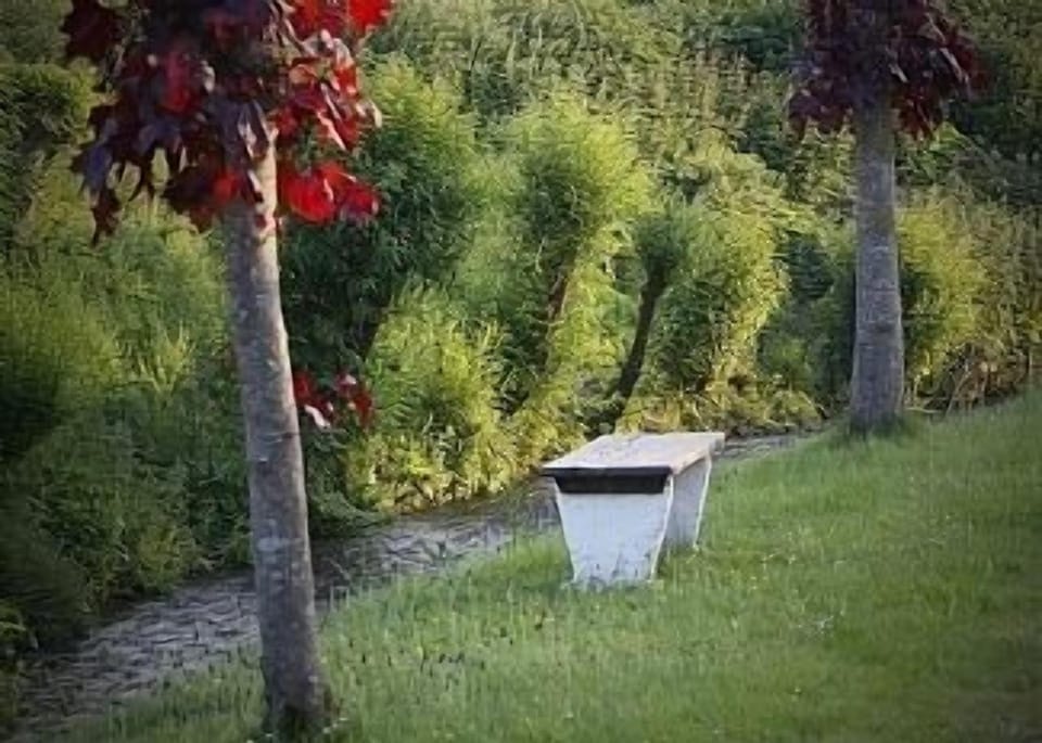 The stream opposite the house