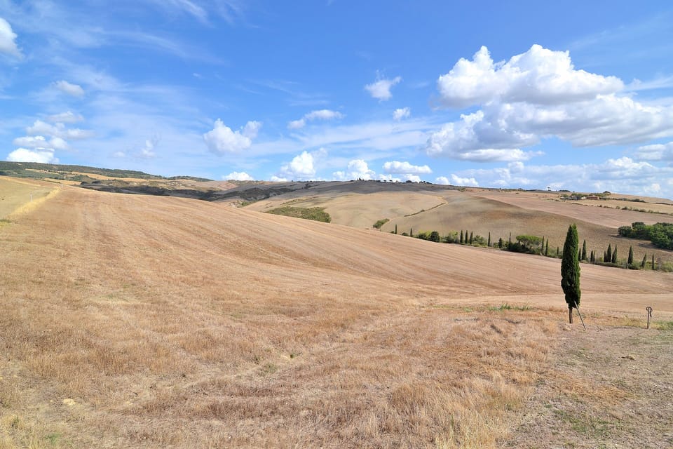 Whole big Tuscan Villa with Pool & Vineyards in the Heart of Tuscany Villa in Tuscany