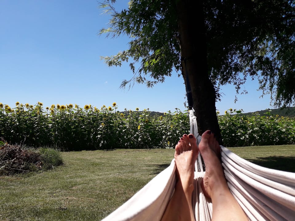 Well, if this isn't the life, we may as all well give up.