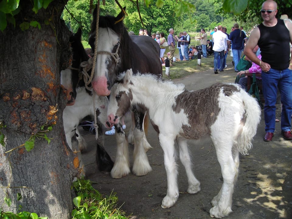 Horse Fair