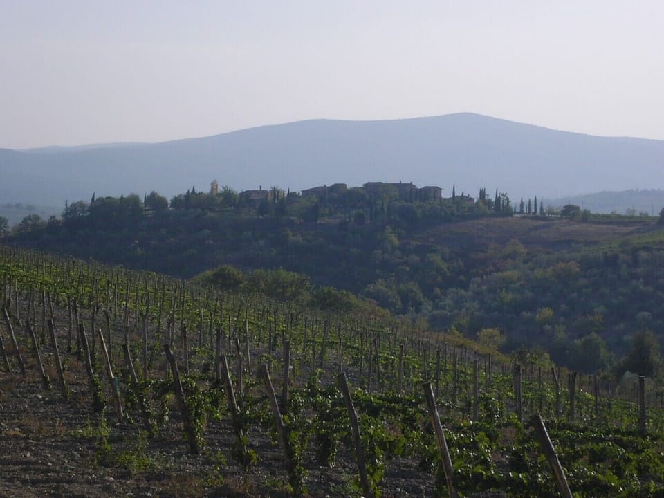 Le Bagnaie through the Chianti vineyards