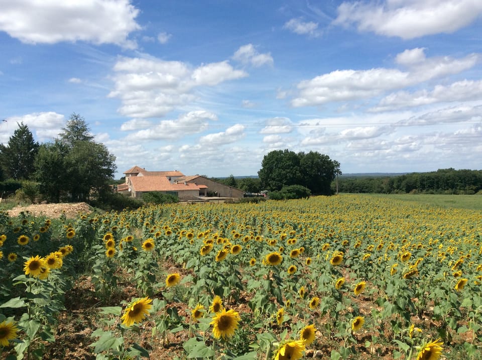 Property from adjacent fields (agricultural)