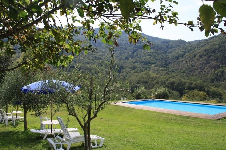 the swimming pool