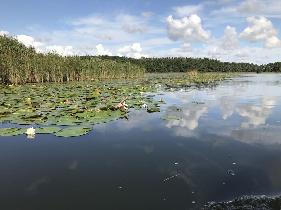 Lake