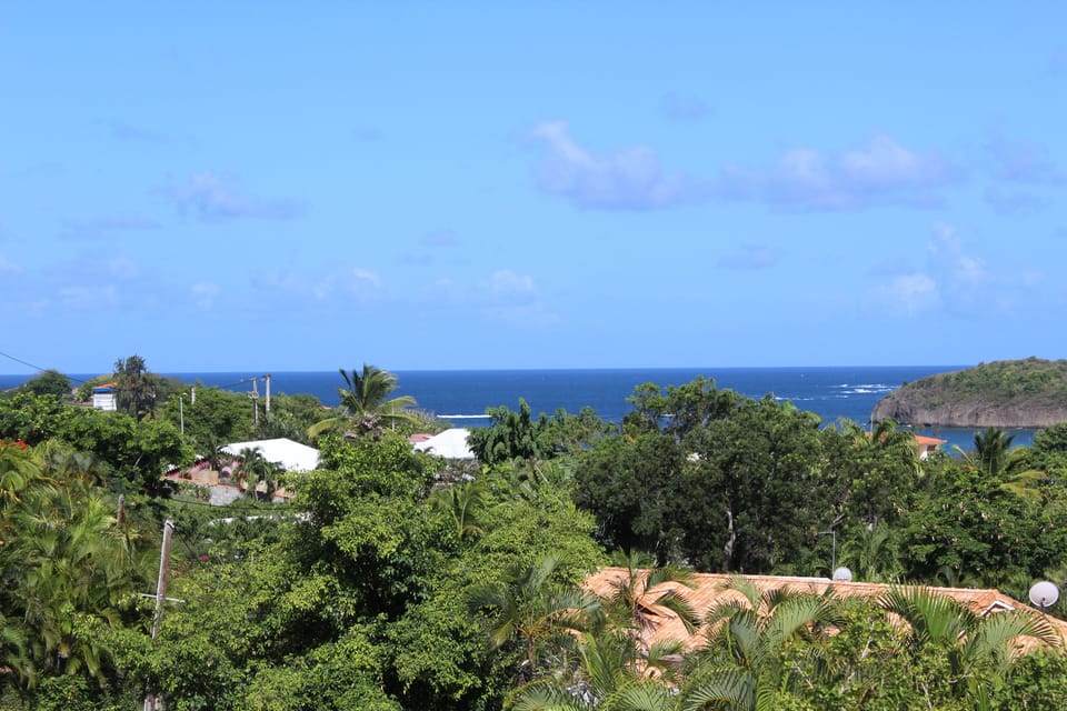 Beach/ocean view