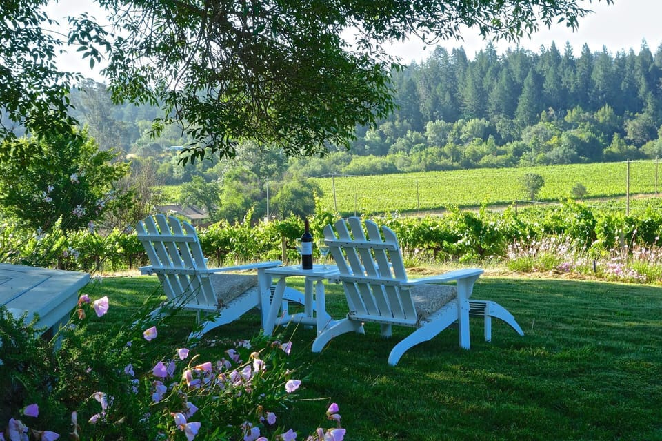 Relax and enjoy our magnificent vineyard views.