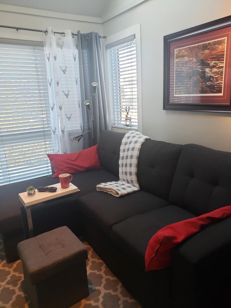 New L-shape sofa, with pull out queen bed.