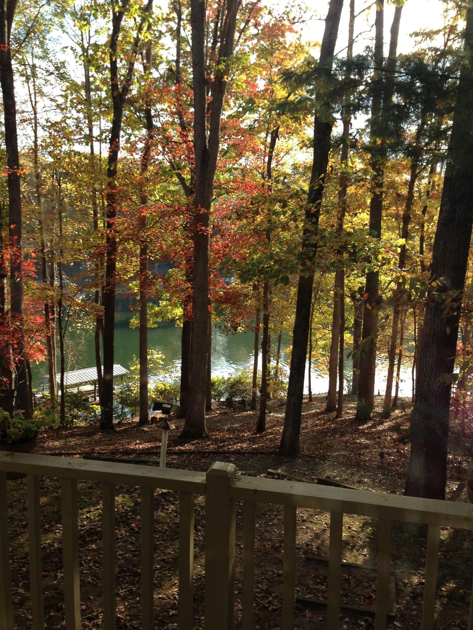 Enjoy beautiful fall foliage while touring the neighborhood wineries