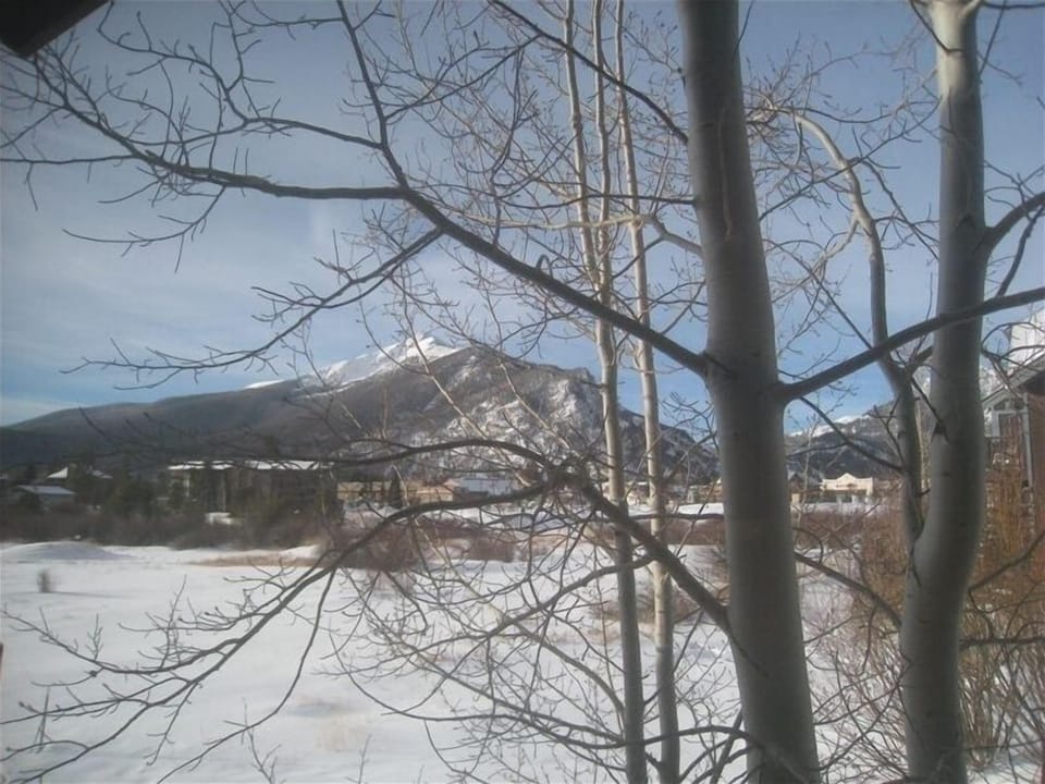 Overlooking Mt Royal from stairwell landing