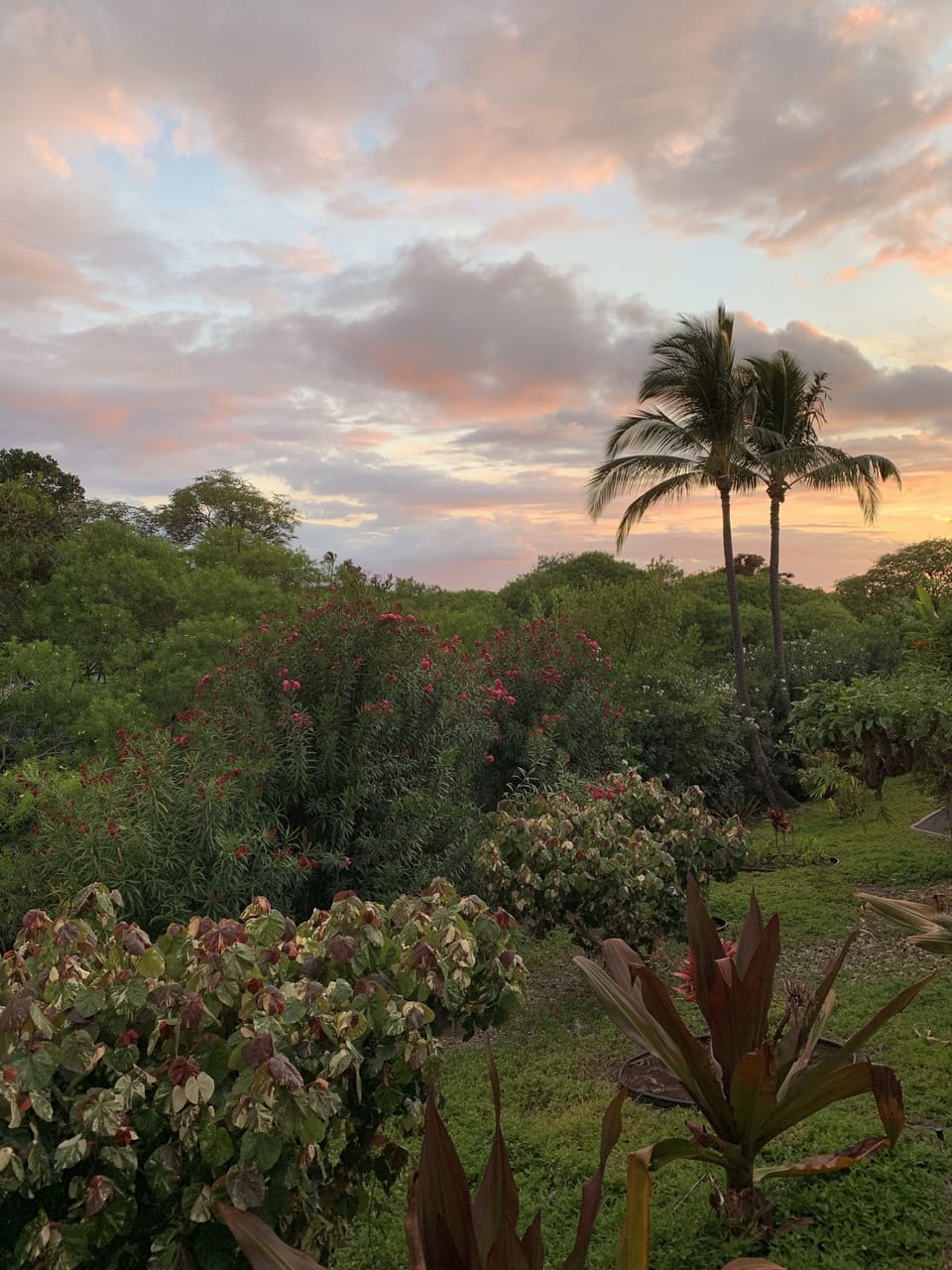 The lanai view at dusk