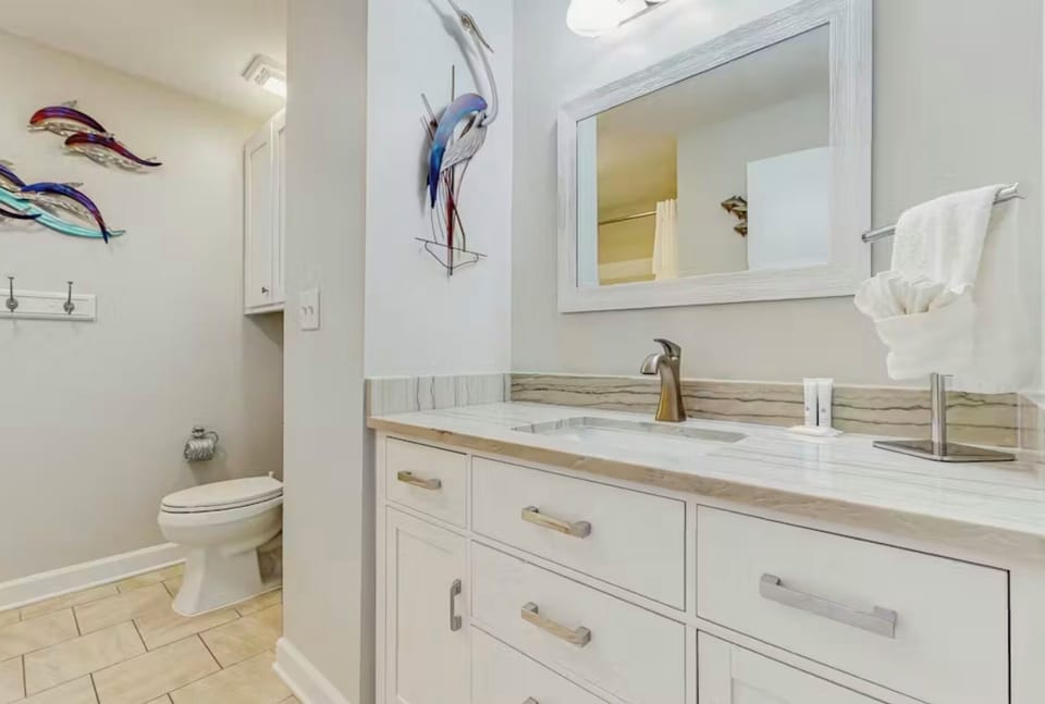 Guest bath room tub/shower combo
