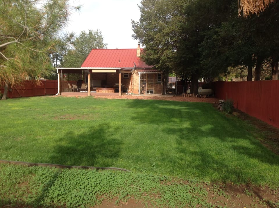 Poppy House has a fenced grass backyard and a cattery! (Right of the patio)