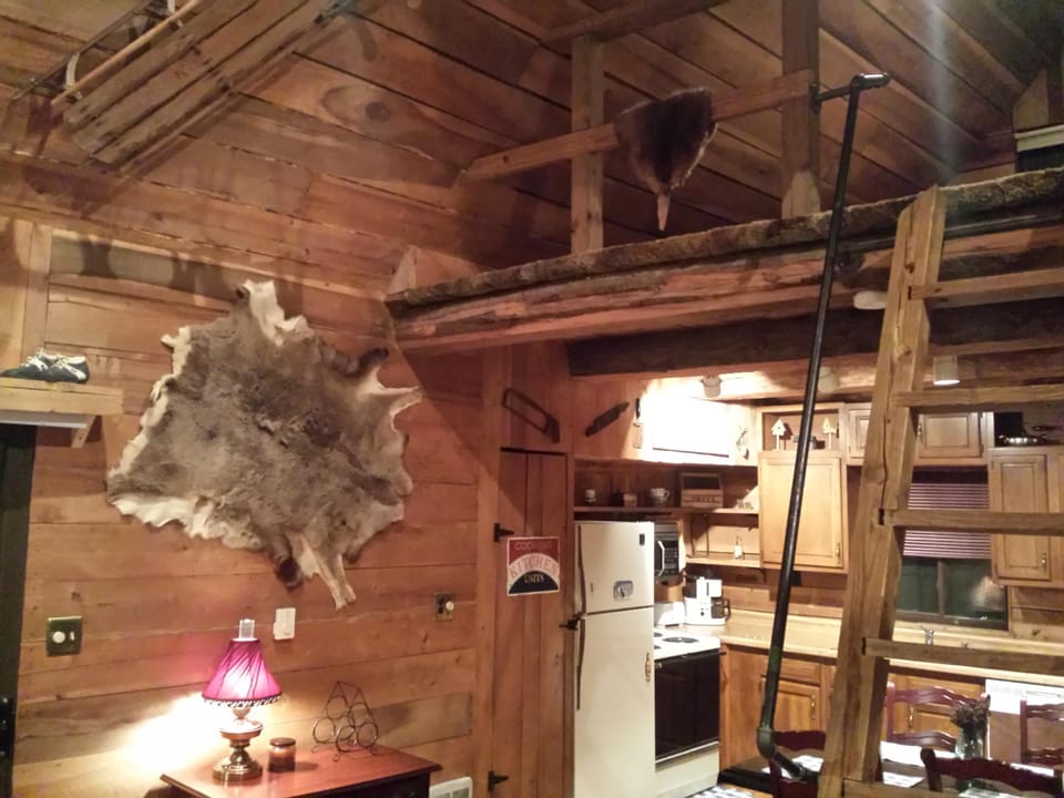 Fox Tail Chalet Interior Decor