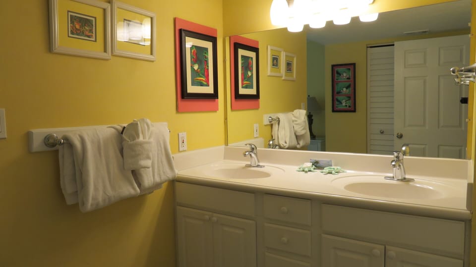 Master bath/sink area