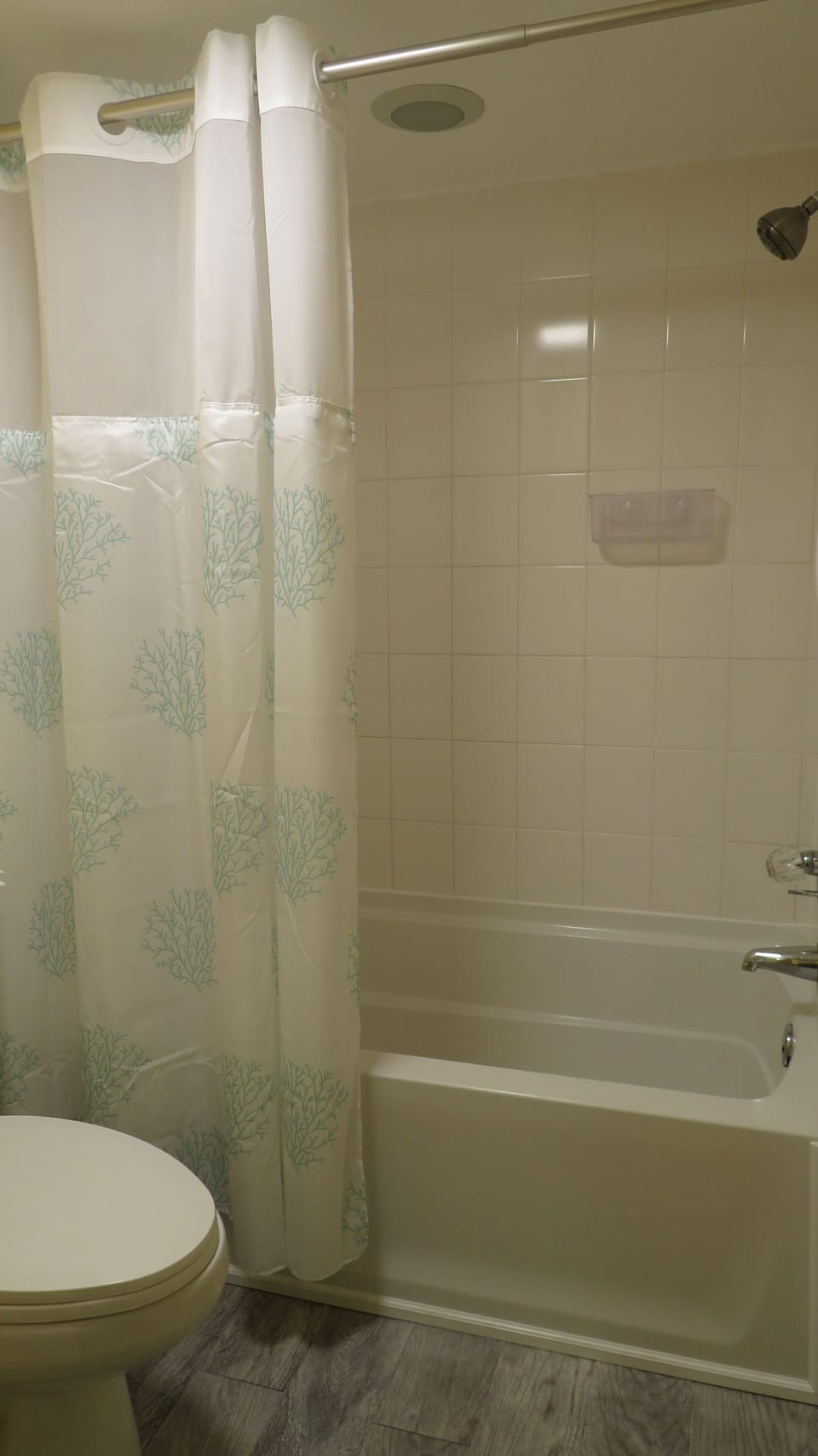 Master tub/shower