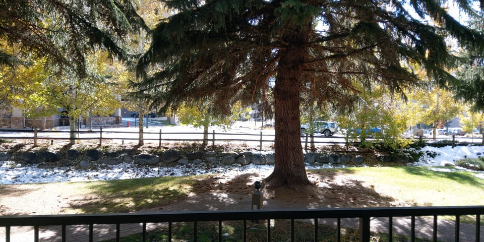 View from patio