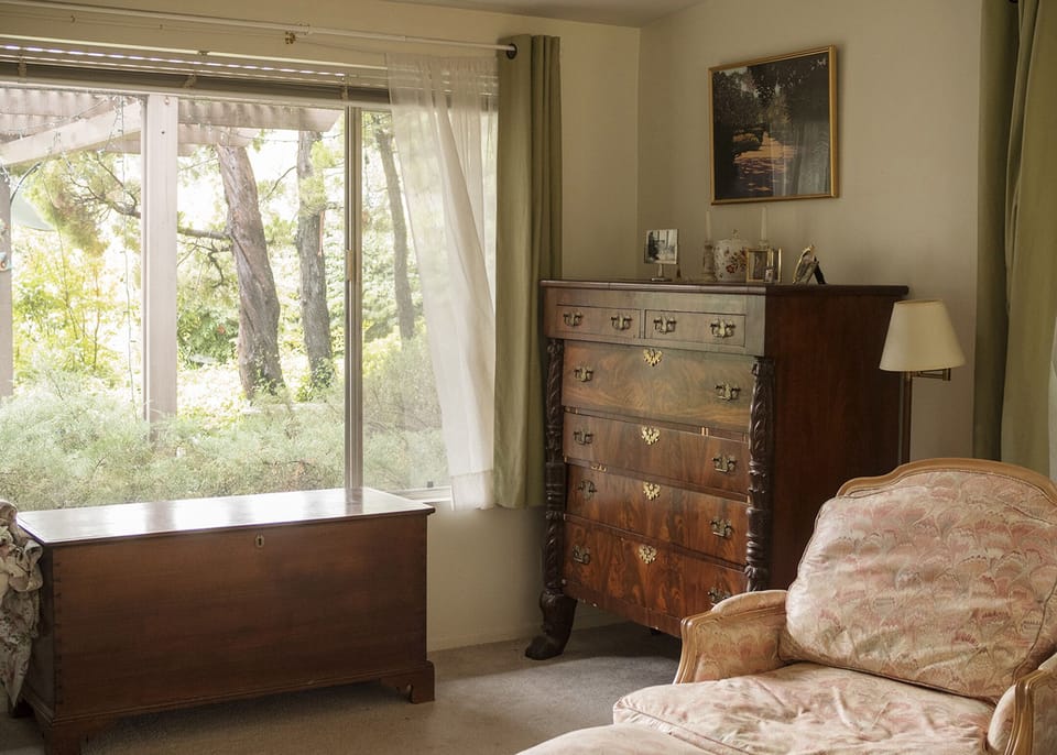with a window to the patio and fine furniture