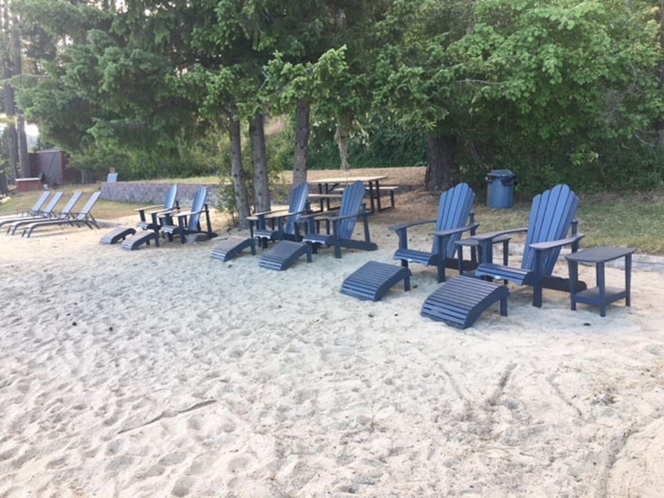 Lots of chairs on the beach, a great place for the family to be together.