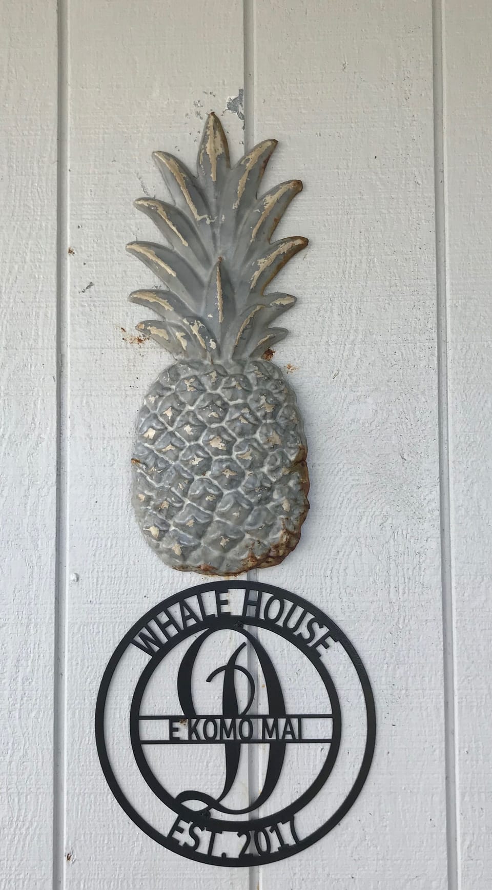 Welcome to the Whale House