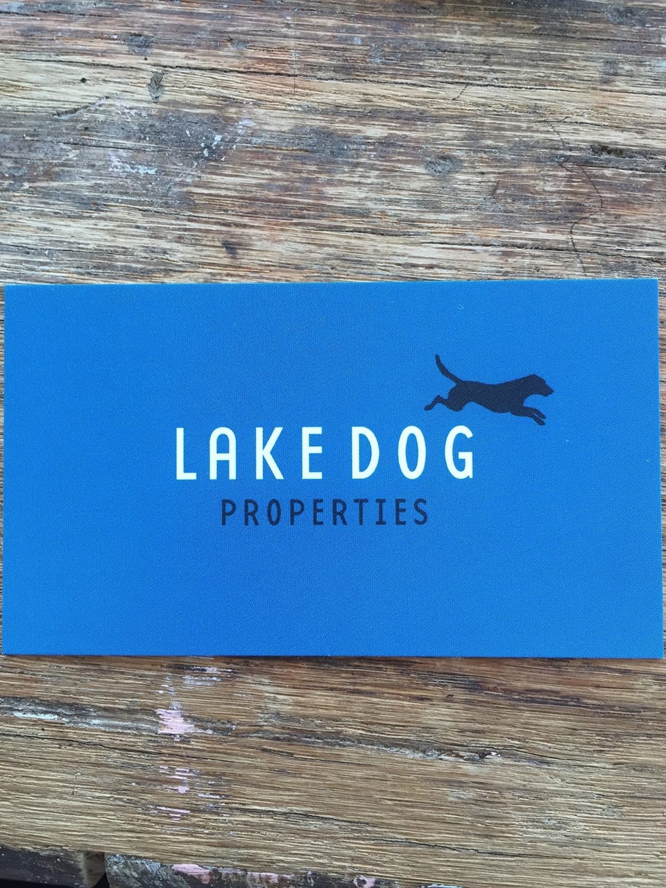 Our guests visit all of our rentals