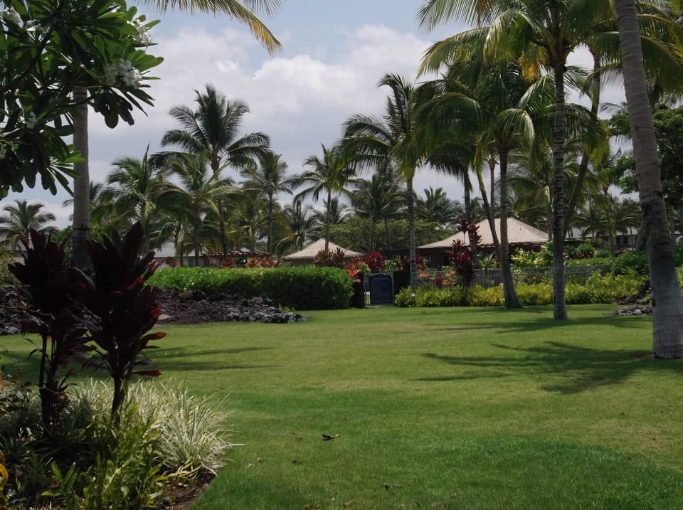 View of pool from our Lanai. Great area for kids to play and relax.