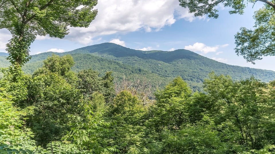 View from the deck - June