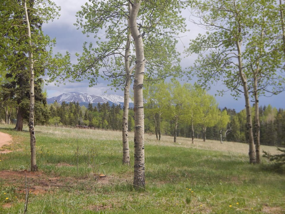 View of Pikes Peak
