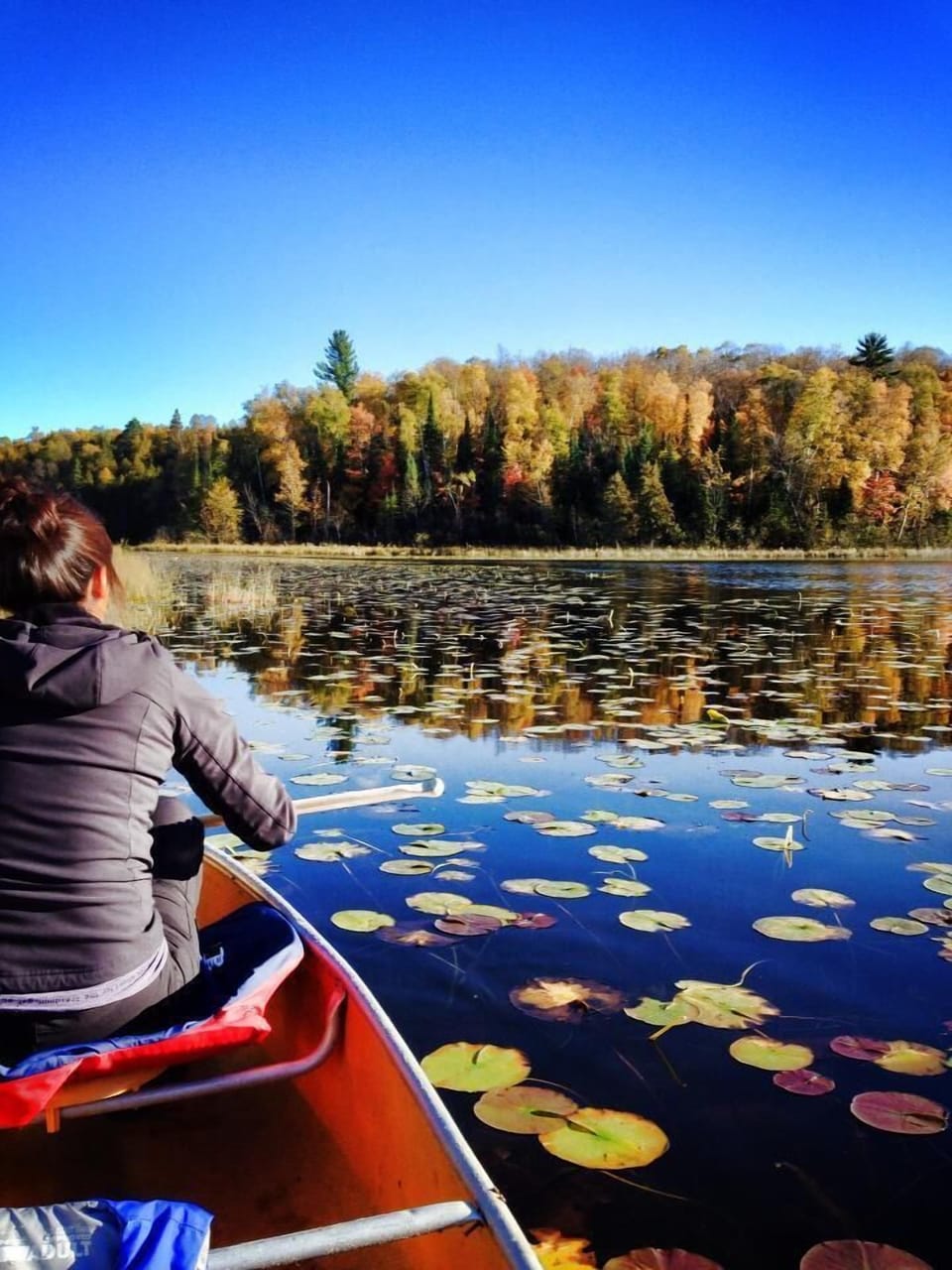 5 Quiet Bays & Excellent Fishing (Pike, Crappie, Largemouth Bass & Panfish)