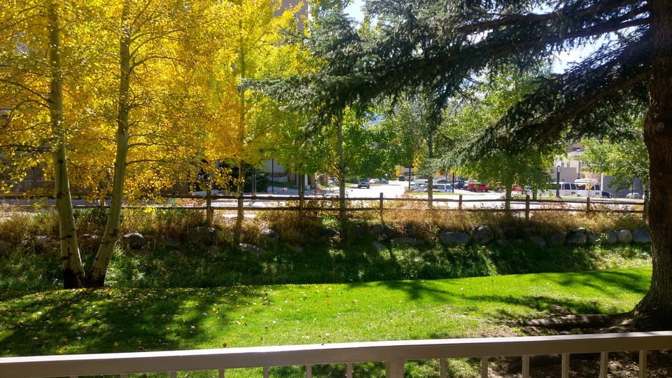 View from patio