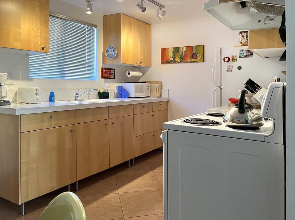 Bright retro kitchen with spacious counters and natural light
