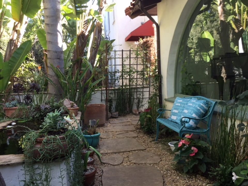 Pathway to Beachhouse