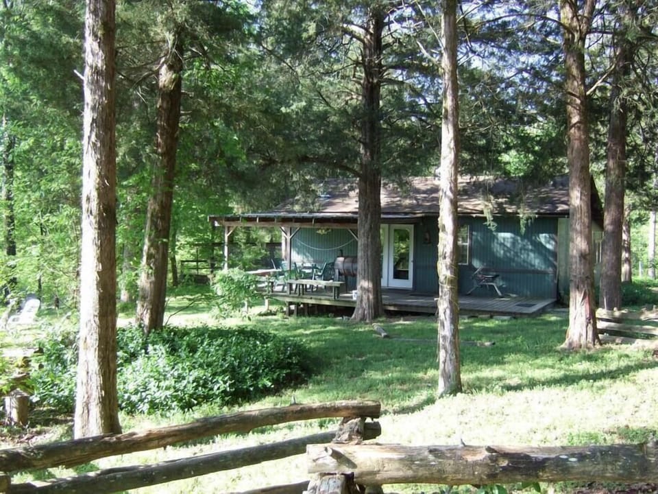 Magnolia Cabin in the Spring
